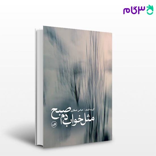 تصویر  کتاب مثل خواب دم صبح نوشته عباس صفاری از ثالت