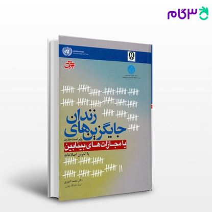 تصویر  کتاب جایگزین های زندان یا مجازات های بینابین  نوشته دکتر محمد آشوری از انتشارات جهش