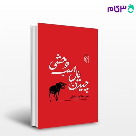 تصویر  کتاب چیدن یال اسب وحشی نوشته علی صالحی بافقی از نشر مرکز