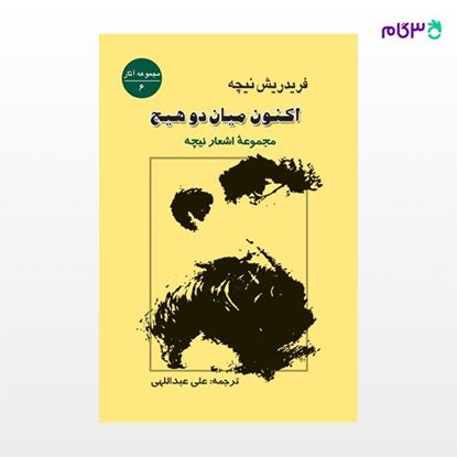 تصویر  کتاب اکنون میان دو هیچ ( مجموعه اشعار ) نوشته فریدریش نیچه ترجمه ی علی عبداللهی از نشر جامی