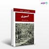 تصویر  کتاب آموری نوشته الکساندر دوما ترجمه ی احمد مستشار از نشر جامی
