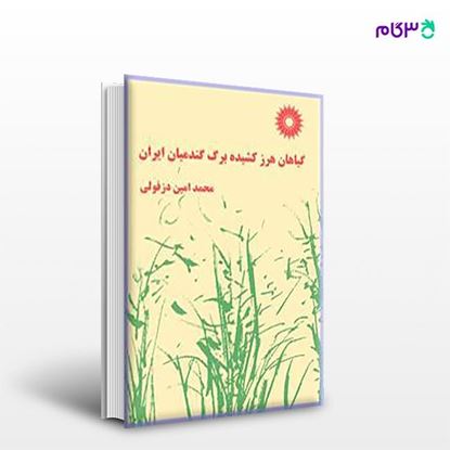 تصویر  کتاب گیاهان هرز کشیده برگ گندمیان ایران نوشته محمدامین دزفولی از مرکز نشر دانشگاهی