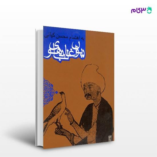 تصویر  کتاب دیوان غالب دهلوی نوشته محسن کیانی از انتشارات روزنه