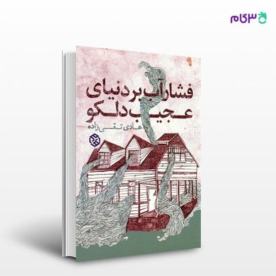 تصویر  کتاب فشار آب بر دنیای عجیب دلکو نوشته هادی تقی‌زاده از انتشارات روزنه