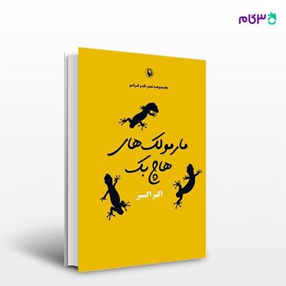 تصویر  کتاب مارمولک های هاچ بک نوشته اکبر اکسیر از انتشارات مروارید