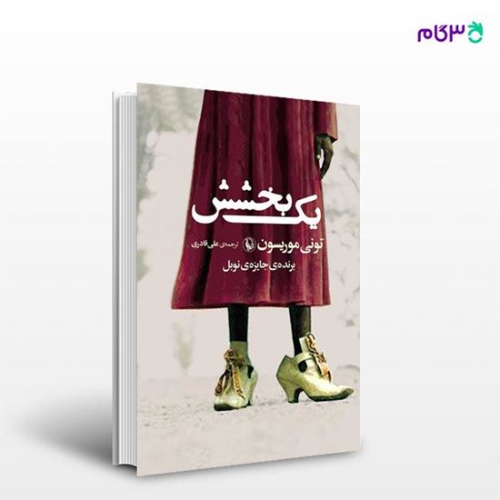 تصویر  کتاب یک بخشش نوشته تونی موریسون ، و ترجمه ی علی قادری از انتشارات مروارید
