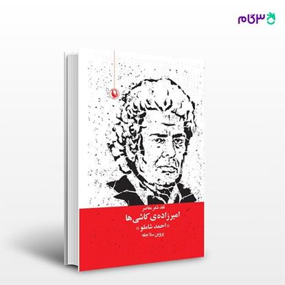 تصویر  کتاب امیرزاده ی کاشی ها (نقد آثار شاملو) نوشته پروین سلاجقه از انتشارات مروارید