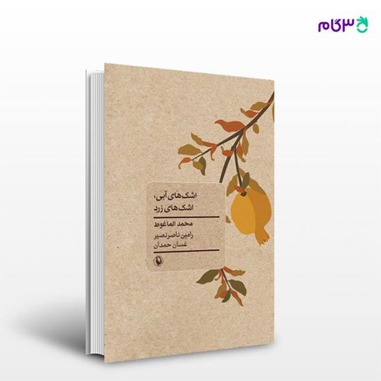 تصویر  کتاب اشک های آبی اشک های زرد نوشته غسان حمدان ، محمد الماغوط ، و ترجمه ی رامین ناصرنصیر از انتشارات مروارید